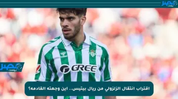 اقتراب انتقال الزلزولي من ريال بيتيس.. أين وجهته القادمة؟